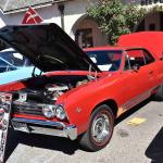 DSC_0093_00050 (October 07, 2023)